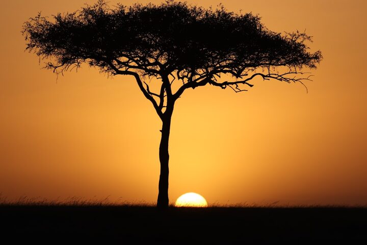 Kenya at sunset